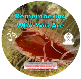 Remembering Who You Are